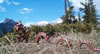 Rocky Mountain Dragons: JasperBrownGD2